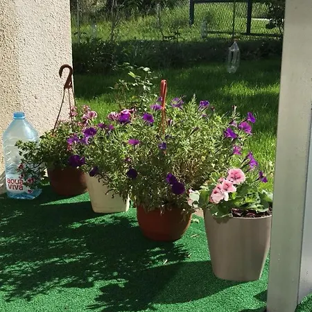 Séjour à la campagne Apartmani Vlaska Vlaska