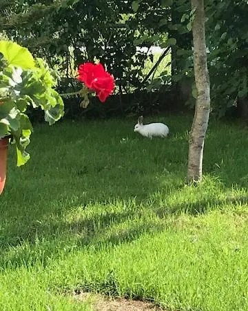 Apartmani Vlaska Séjour à la campagne *